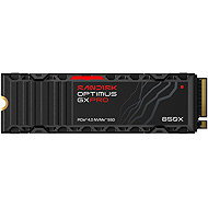 SANDISK OPTIMUS GX PRO 850X 1TB with heatsink - SSD