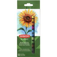DERWENT Academy Soft Pastels square coloured chalks - pack of 12 - Chalk