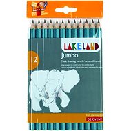 DERWENT Lakeland Jumbo Graphite HB, hexagonal - pack of 12 - Pencil