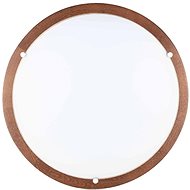 LED Ceiling Light FRIDA, LED/18W/230V - Ceiling Light