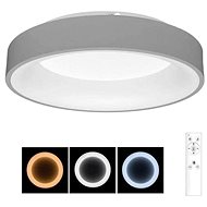 LED Dimmable Ceiling Light, LED/40W/230V/3000-6500K, Grey - Ceiling Light