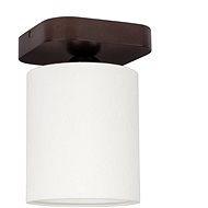 Ceiling Light JENTA, 1xE27/25W/230V - Ceiling Light