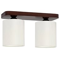 Ceiling Light JENTA, 2xE27/25W/230V - Ceiling Light