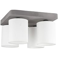 Ceiling Light GENTLE, 4xE27/25W/230V - Ceiling Light