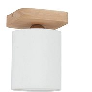 Ceiling Light JENTA, 1xE27/25W/230V - Ceiling Light