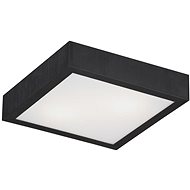Argon 0723 - Ceiling lamp TEQUILA BIS 2xE27/60W/230V - Under-Counter Light