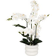 Atmosphera Umělá orchidej Mick v keramickém květináči, 80 cm - Artificial Flower