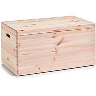 Zeller Storage Container with Lid, 58L Organiser - Storage Box