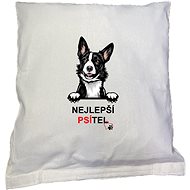 EDEN Best Male Border Collie - Pillowcase