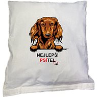 EDEN Best Male Dachshund Longhaired Pointer - Pillowcase