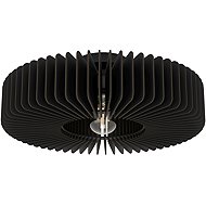 Eglo PALOMBAIA, Black - Ceiling Light