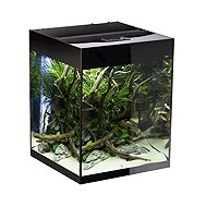 AQUAEL Glossy Cube D&N, 135 l, black - Aquarium
