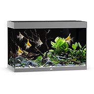 JUWEL Rio 290 LED, grey - Aquarium