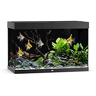 JUWEL Rio 290 LED, black - Aquarium