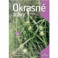 Ornamental grasses - Alena Nováková