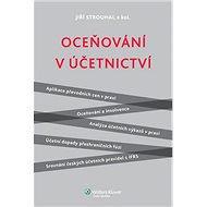 Oceňování v účetnictví - Strouhal