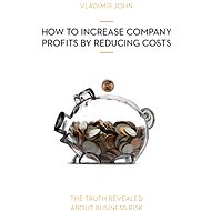 How to Increase Company Profits by Reducing Costs - Vladimír John