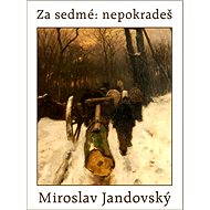 Za sedmé: nepokradeš! - Miroslav Jandovský