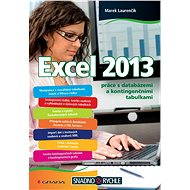 Excel 2013 - Marek Laurenčík