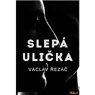Slepá ulička - Václav Řezáč