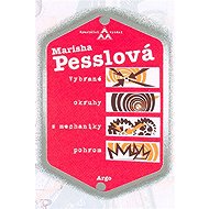 Selected topics in disaster mechanics - Marisha Pesslová