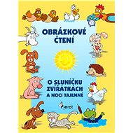 O sluníčku, zvířátkách a noci tajemné - Vendula Hegerová