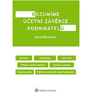Rozumíme účetní závěrce podnikatelů - Hana Březinová