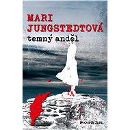 Temný anděl - Mari Jungstedtová