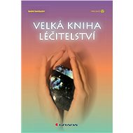 The Big Book of Healing - Igor Saveljev