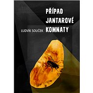 Případ Jantarové komnaty - Ludvík Souček