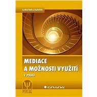 Mediation and possibilities of use - Lenka Holá