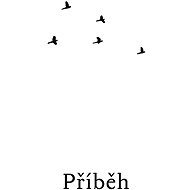 Hejno bez ptáků - Příběh - Filip Doušek