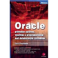 Oracle - David Procházka