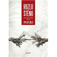 Rozluštěno - Mai Jia