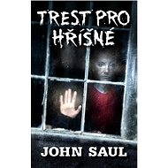 Trest pro hříšné - John Saul