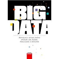 Big Data - Kenneth Cukier
