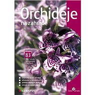 Orchids in the garden - Pavel Sekerka