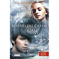 Rozděleni časem – V pasti - Julie Cross