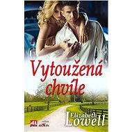 Vytoužená chvíle - Elizabeth Lowell