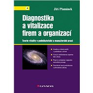 Diagnostics and vitalisation of companies and organisations - Jiří Plamínek