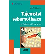 The secret of self-motivation - Reinhold Stritzelberger