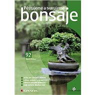 Growing and shaping bonsai - Kamila Skálová