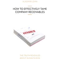 How to Effectively Tame Company Receivables - Vladimír John