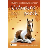 Happy Endings – The Recovered Pony - Sarah Hawkins