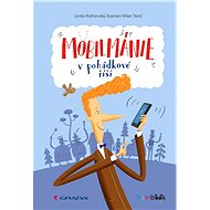 Mobilmánie v pohádkové říši - Lenka Rožnovská