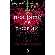 Než jsme se poznali - Lucie Whitehouseová