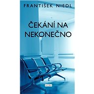 Waiting for infinity - František Niedl