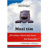 Mezi tím - Aleš Prager