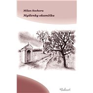Myšlenky okamžiku - Milan Sochora