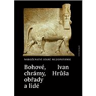 Bohové, chrámy, obřady a lidé - Ivan Hrůša